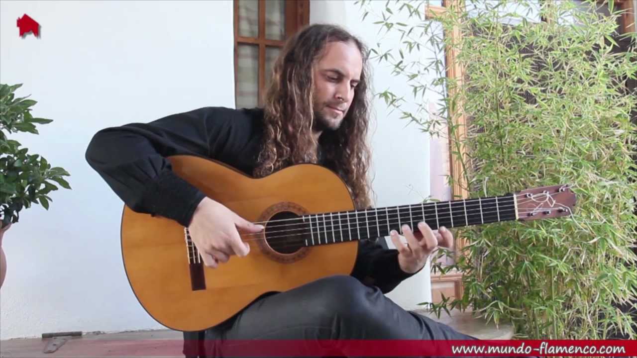 Amir-John Haddad, Punta y Tacón (Alegrias)