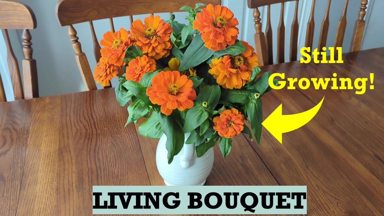 Growing a Living Flower Bouquet