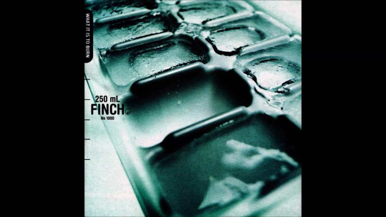 Finch - Perfection Through Silence (432 Hz)