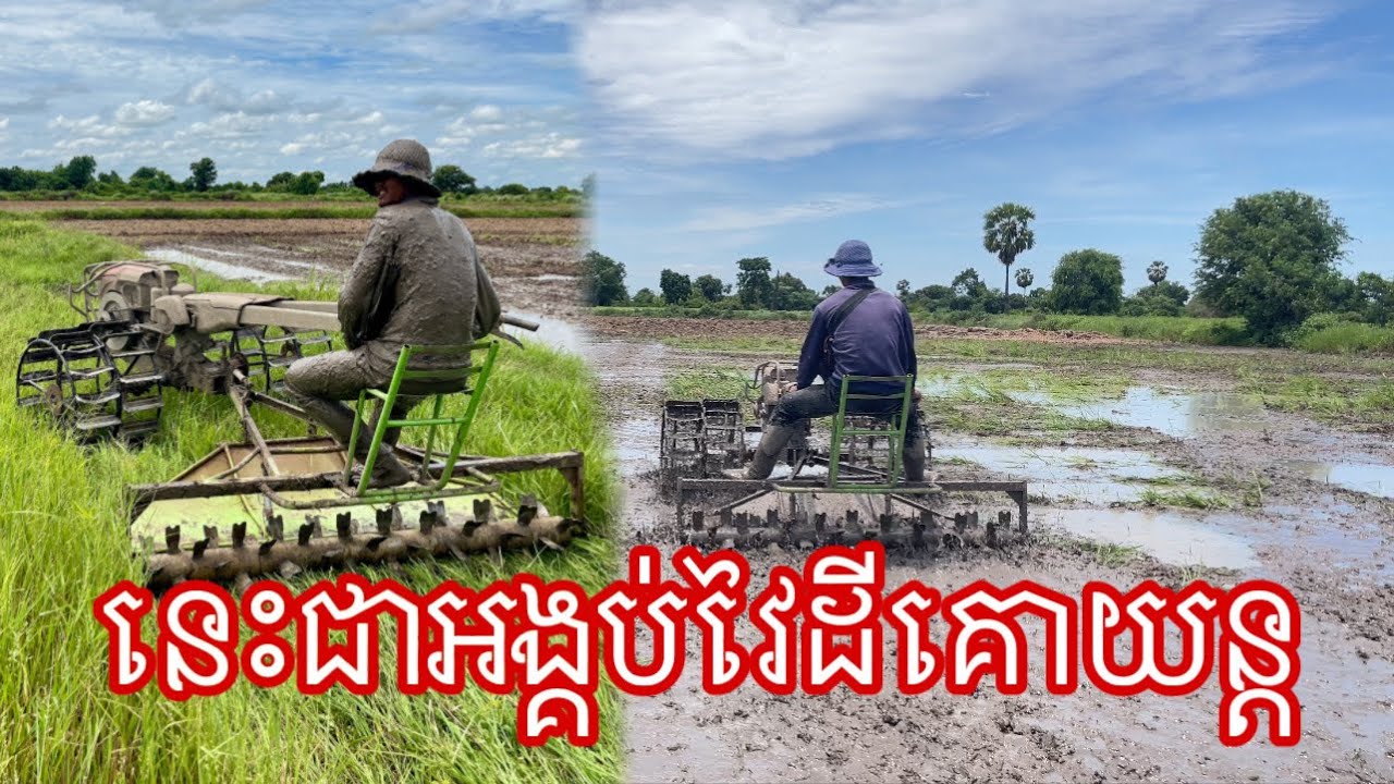 អង្គប់វៃដីគោយន្តវៃដីបានស្អាត់និងងាយស្រួលប្រើ #farmer