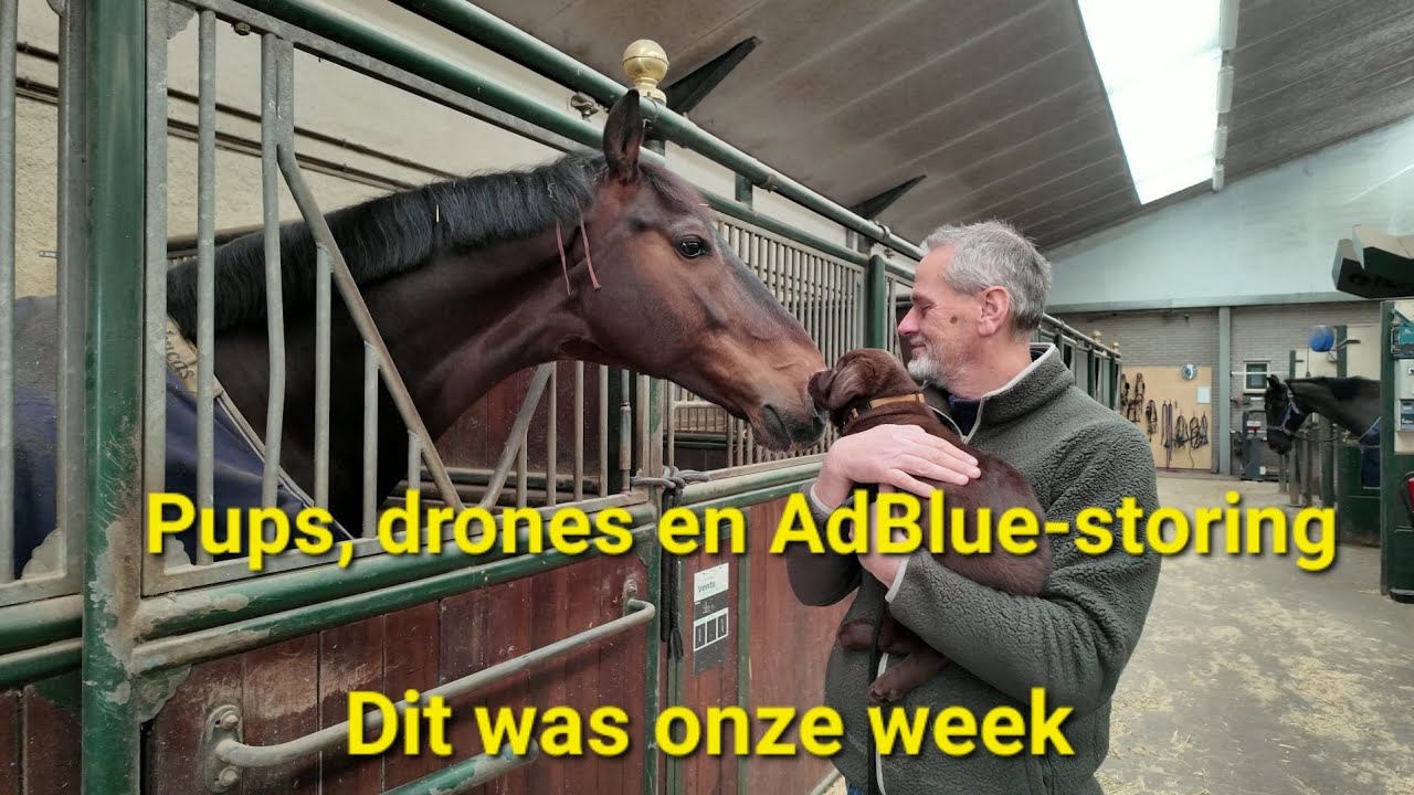 Pups, Drones en AdBlue-storing. Dit was onze week