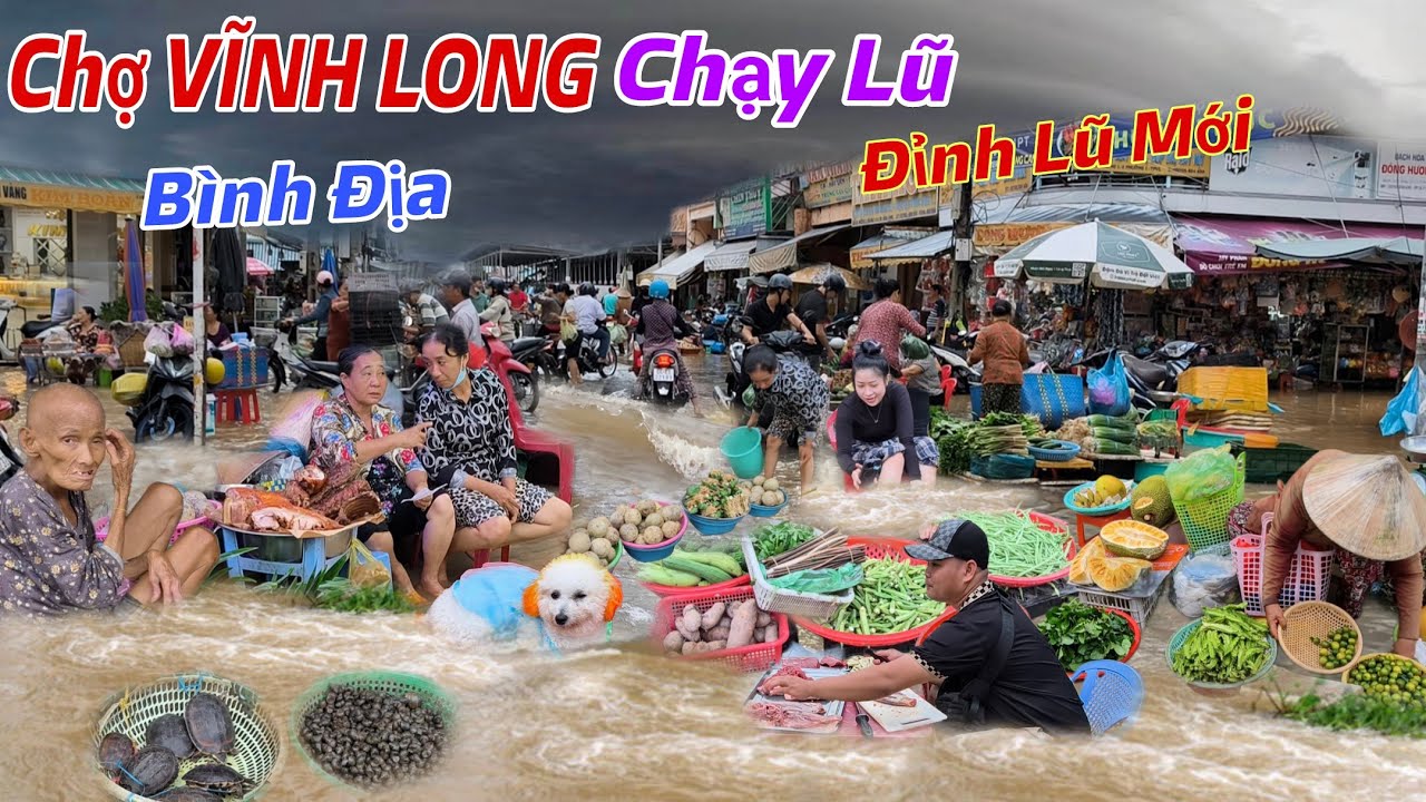 Chợ VĨNH LONG: B&aacute;o Động, Chạy Lũ, Nước L&ecirc;n Thần Tốc Đỉnh Lũ Mới Xuất Hiện Ngập B&igrave;nh Địa Nh&agrave; D&acirc;n