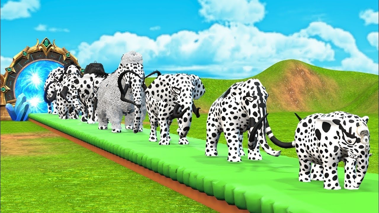 Long Slide Game With Cow Elephant Gorilla Hippopotamus Tiger 3d Animal Game Funny 3d Animals