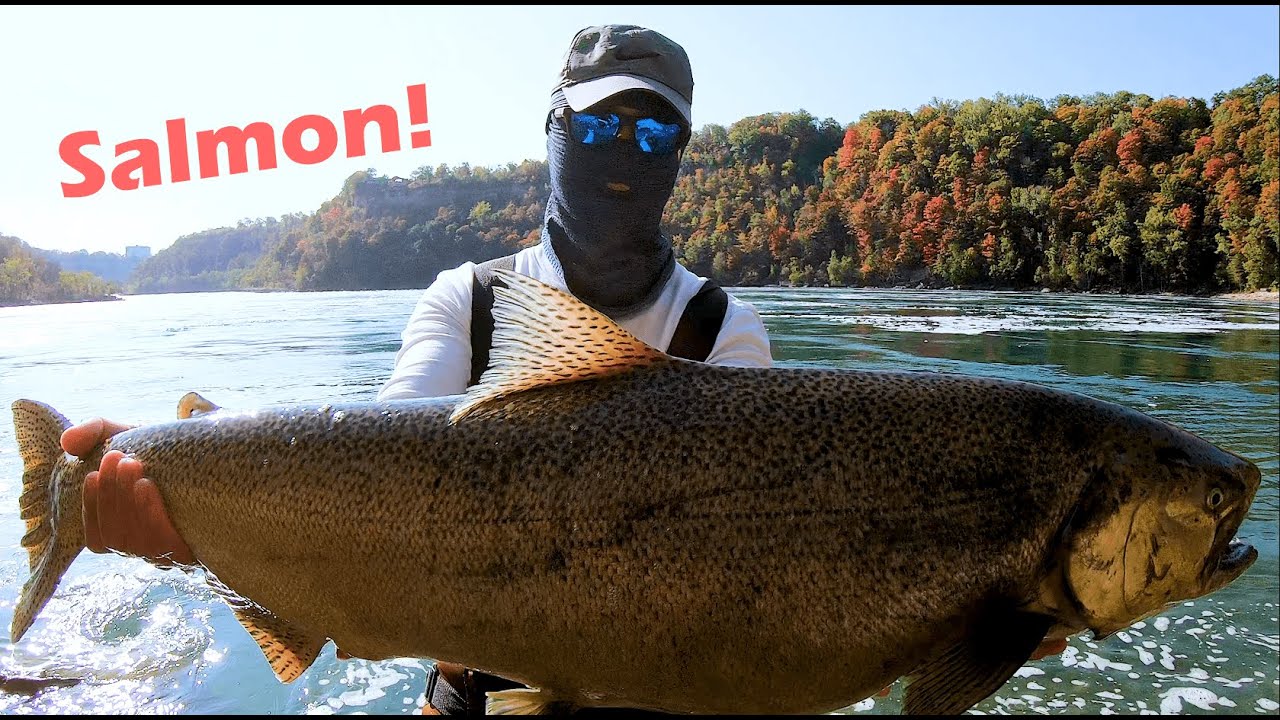 Fall Salmon Fishing in Crystal Clear Water! (Ontario, Canada)