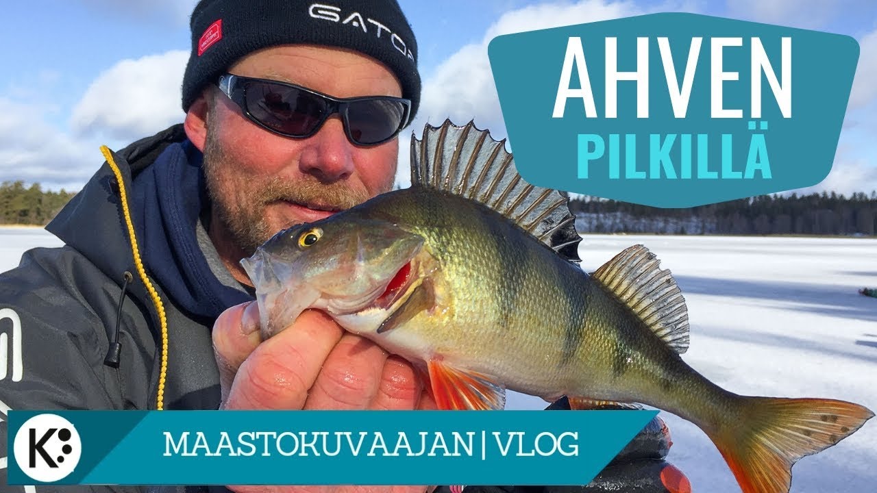 Ison ahvenen pilkintää tasurimestarin kanssa