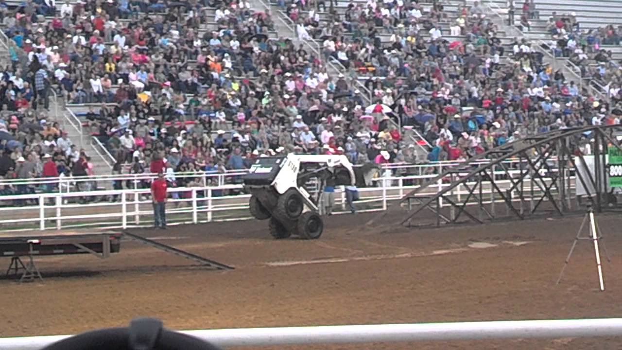 Crazy bobcat tricks