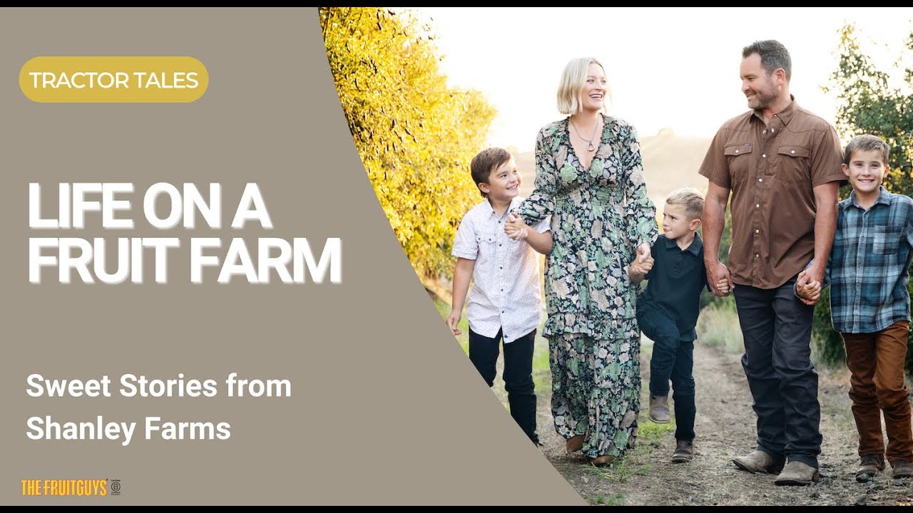 Life on a Fruit Farm Sweet Stories from Shanley Farms