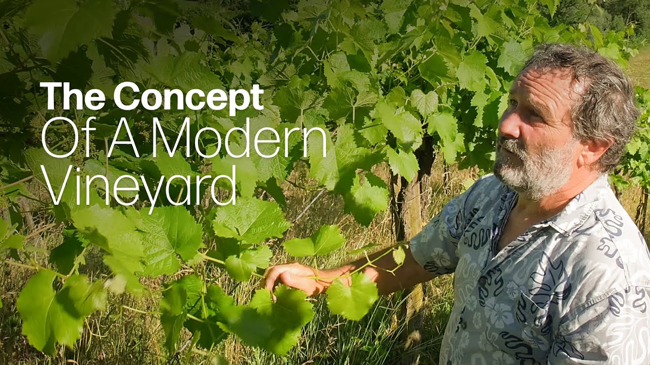 The Vineyard Of The Future: Resistant Grape Varieties In A Working Eco System