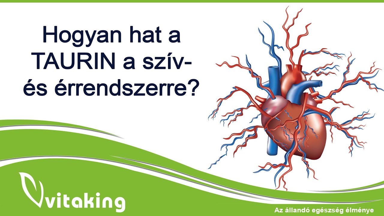 Hogyan hat a Taurin a szív- és érrendszerre?
