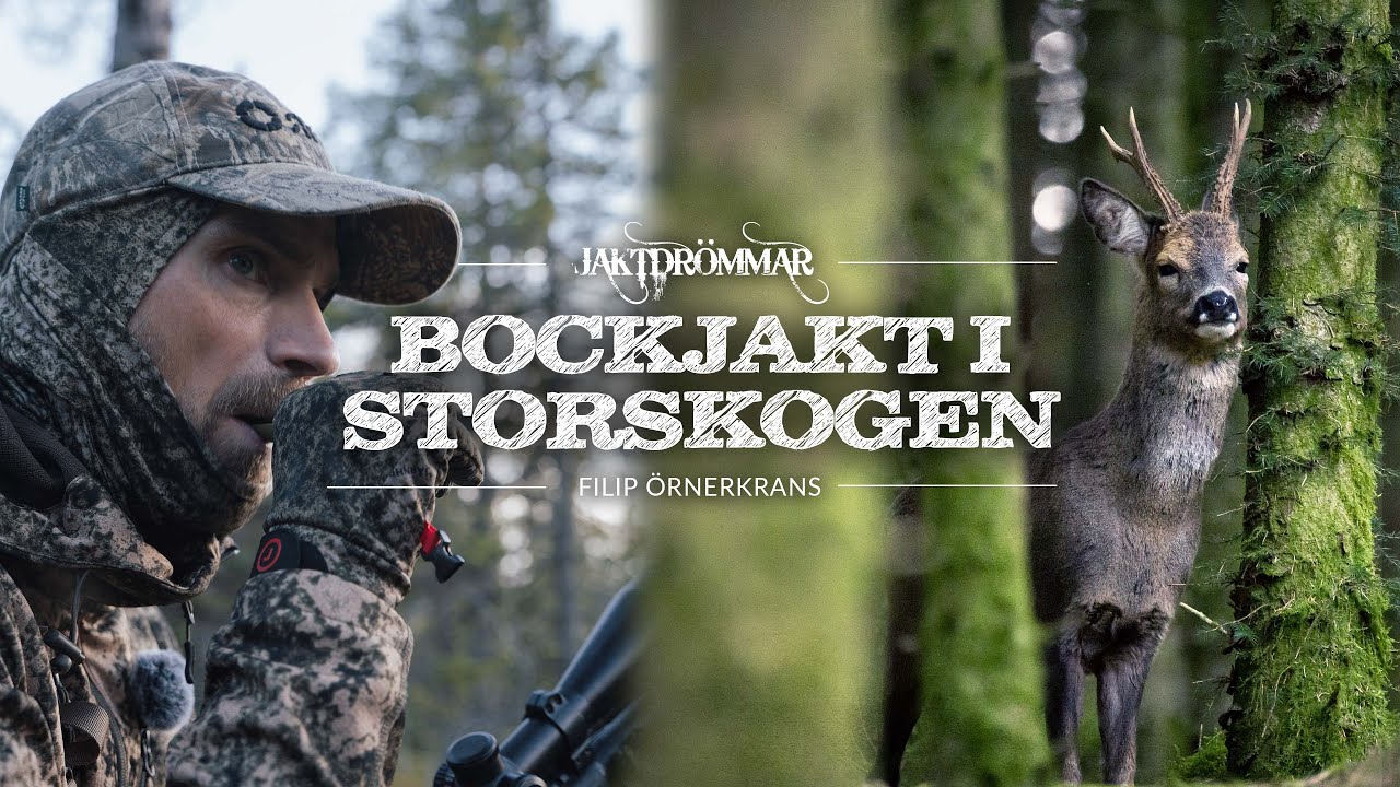 Bockjakt i storskog - Jaktdr&ouml;mmar med Filip &Ouml;rnerkrans | Avsnitt 1
