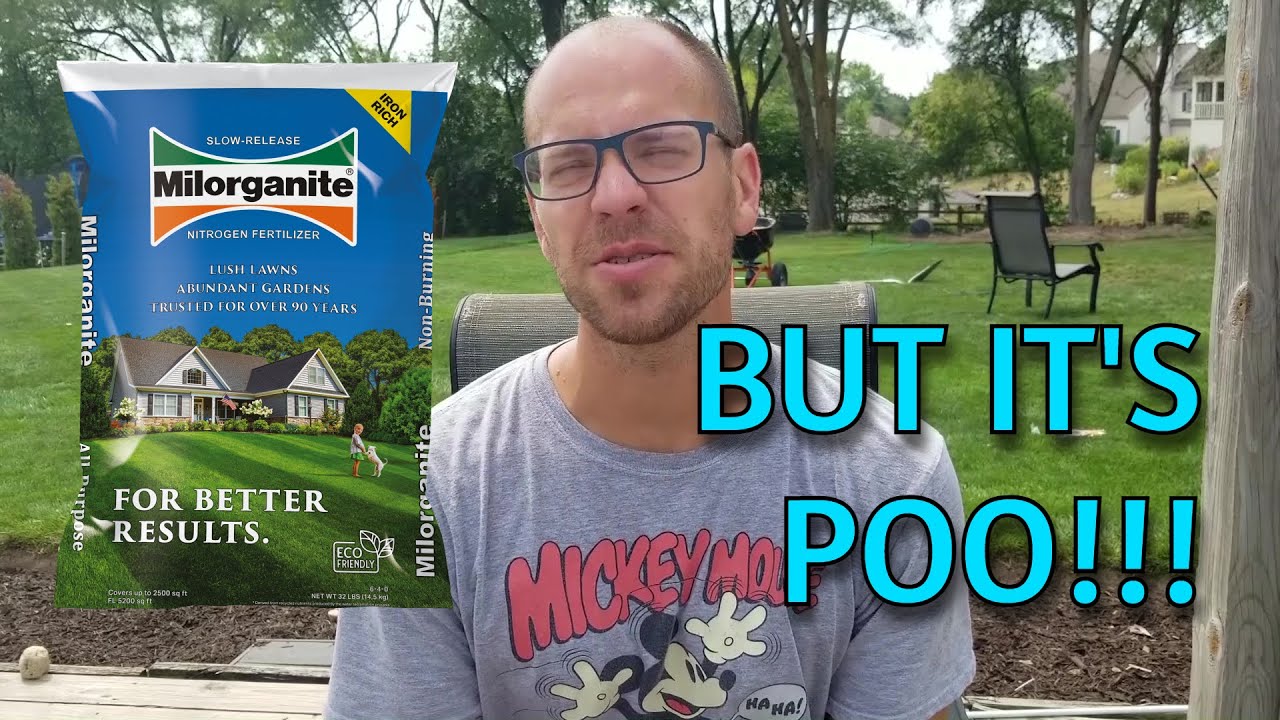 Is Milorganite The BEST Summer Fertilizer?? | Cheap and Easy Lawn Care Program: Summer Fertilizer