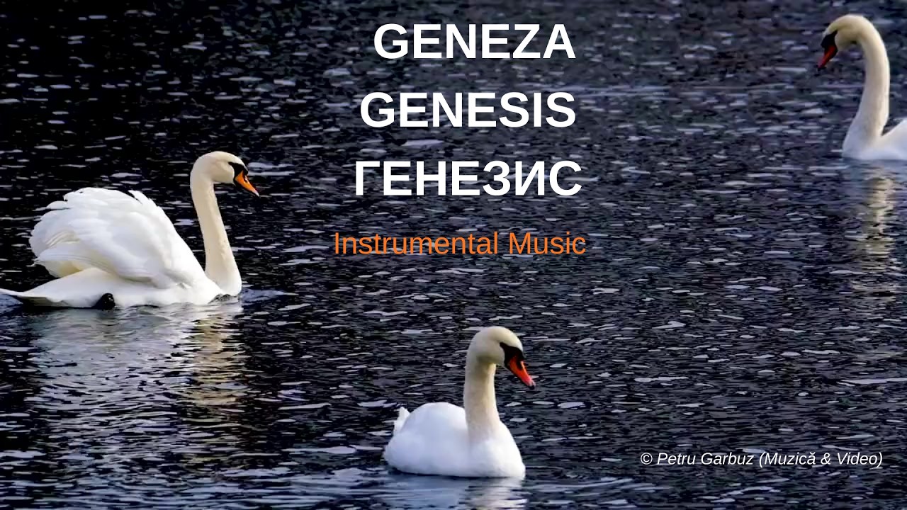 Petru Garbuz - GENEZA | GENESIS | ГЕНЕЗИС (Official Video)