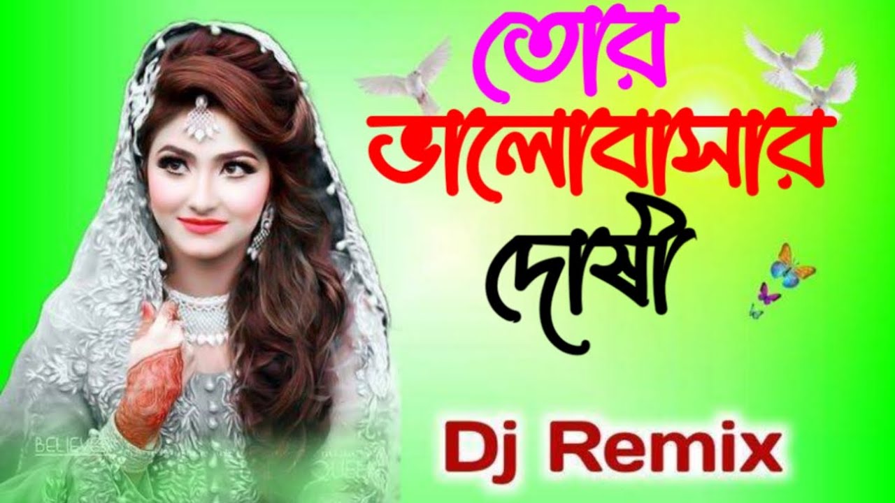 তোর ভালোবাসার দোষী | Female DJ Remix Song | Bangla Romantic Sad Dance Mix 2026