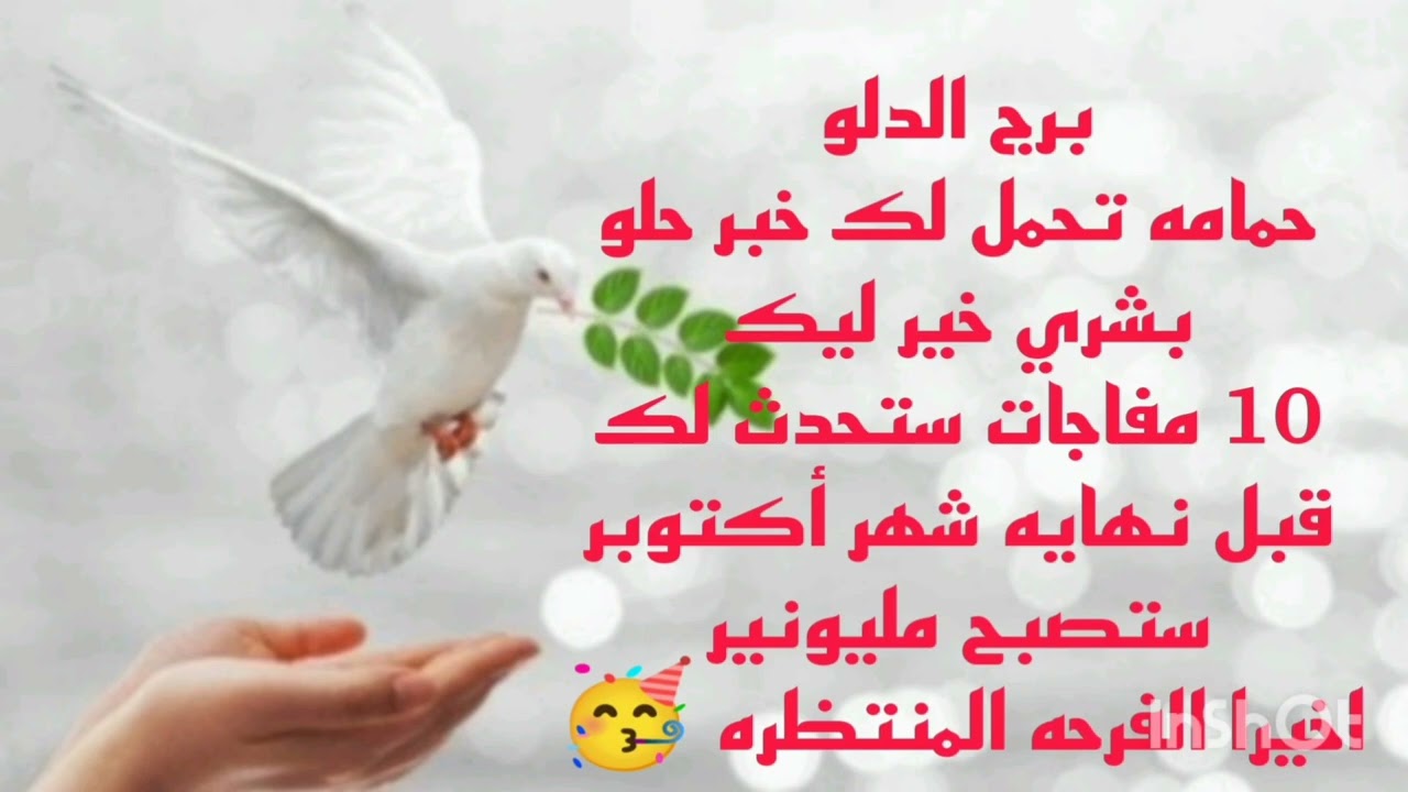 برج الدلو حمامه تحمل لك خبر حلو 💫 بشري خير ليك 🥳 10 مفاجات ستحدث لك قبل نهايه شهر اكتوبر