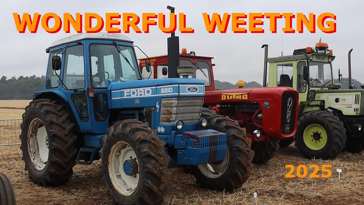 Weeting Rally 25