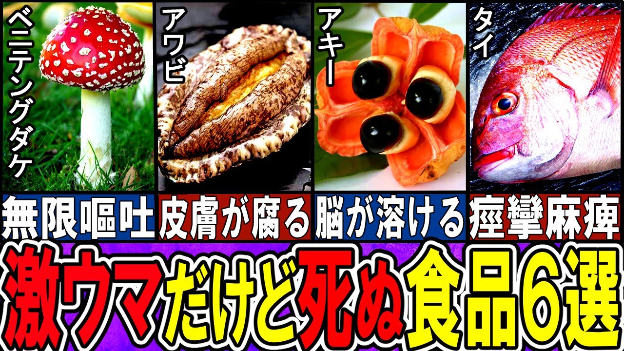 【閲覧注意】 猛毒だけど美味しすぎる食べ物６選【ゆっくり解説】【動物おもしろ雑学】