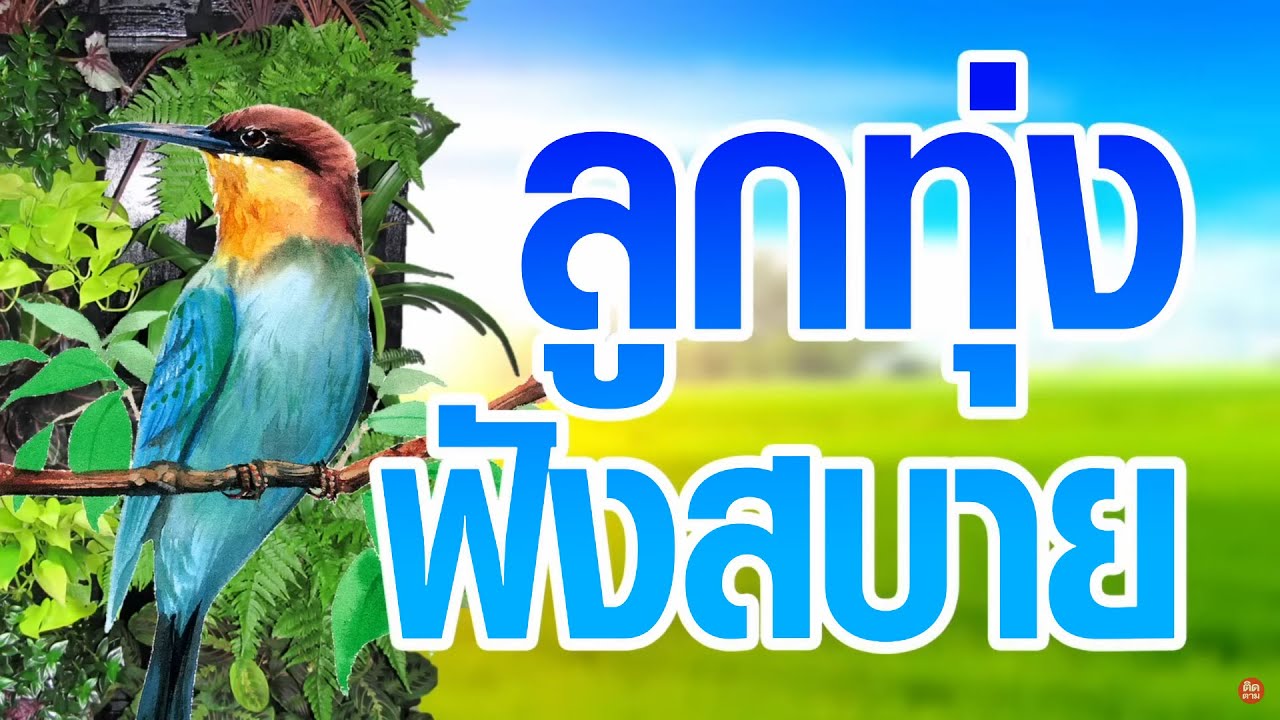 เพลงลูกทุ่งฟังสบาย 24 ชั่วโมง