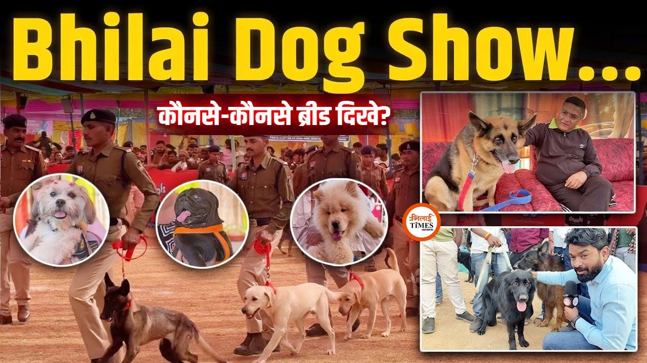 Bhilai Dog Show में जबर माहौल | एक से बढ़कर एक डॉग | SSP भी Pet लेकर पहुंचे | Yashwant | Labhesh |