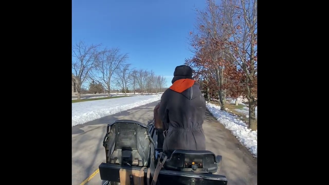 Behind the lines, full length Christmas Eve drive behind Clydesdale draft