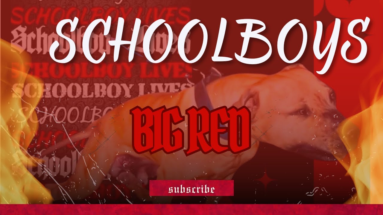 Schoolboy's Big Red