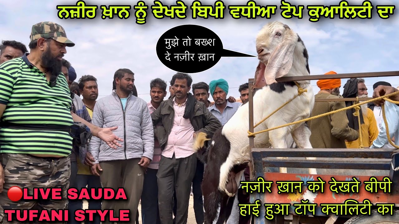 नज़ीर ख़ान को देखते बीपी हाई हुआ टॉप क्वालिटी का #live_sauda tungwali mandi tufani style@farmingbaba