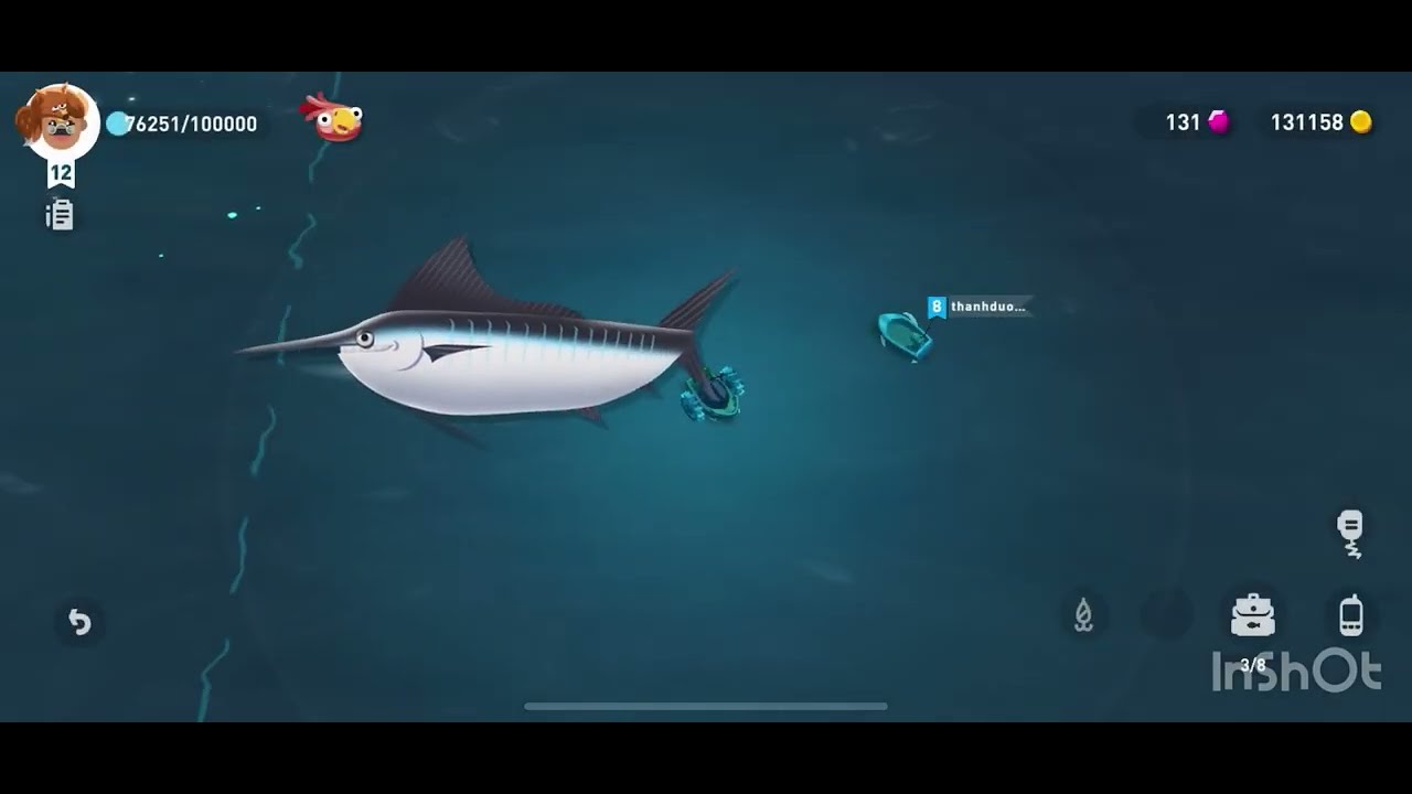 Black Marlin..Costa Rica..Creatures of the Deep