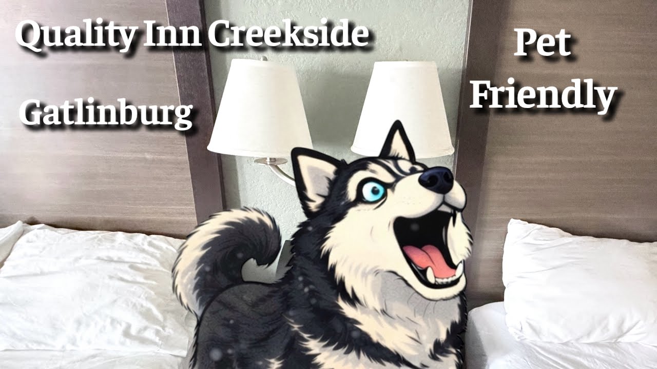 В отеле Quality Inn Creekside в Гатлинбурге разрешено проживание с домашними животными. На трассе...
