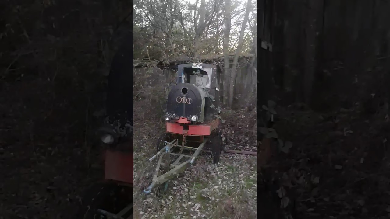 Der verlassene Märchenwald