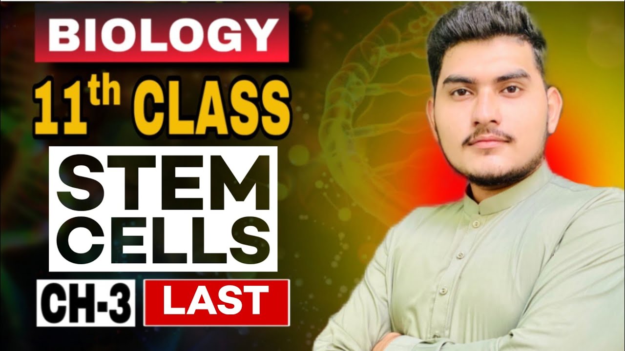 STEM CELLS | Types and Categories of Stem Cells uses | FSC PART 1, Biology 
