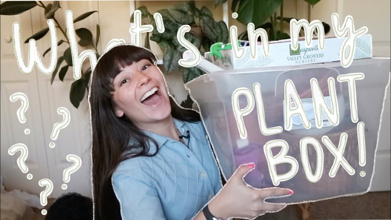 WHAT'S IN MY PLANT BOX? | Plant Products I Use Regularly!