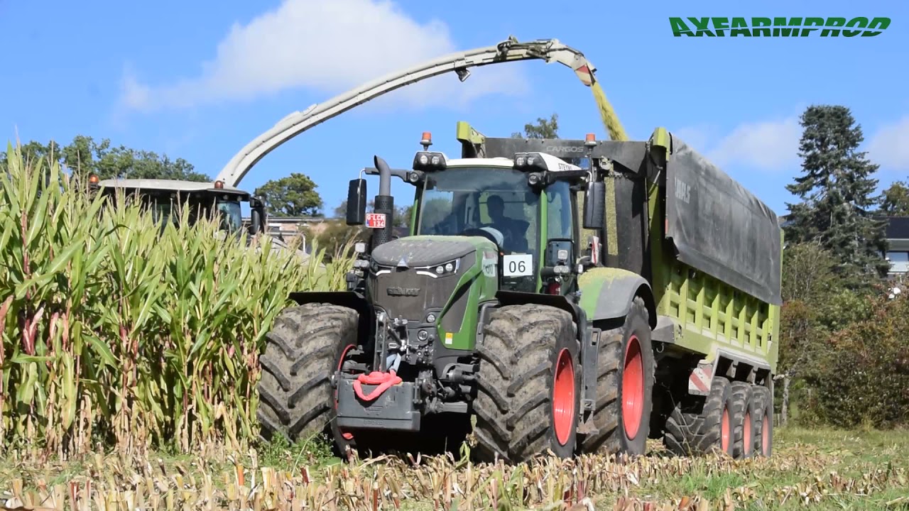 Ensilage de ma&iuml;s 2021 - Claas jaguar 980 - 9 tracteurs Fendt - Steyns