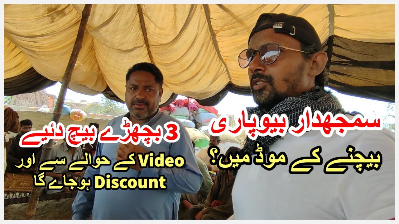 Samajhdar Beopari Kia Rate Kuch Behtar? Northern Bypass Mandi 2023