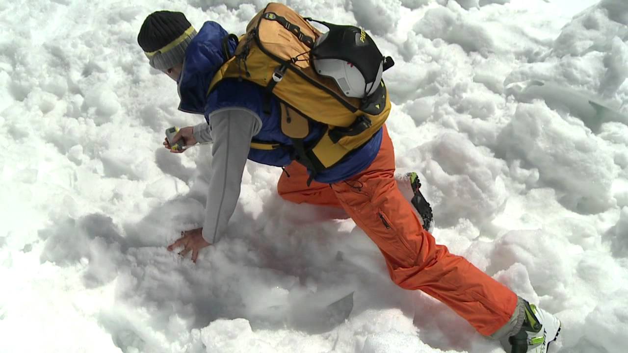 Pieps Freeride avalanche transceiver