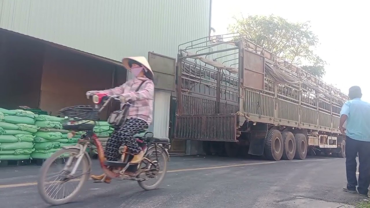 Giữa trưa nắng anh em vẫn lên xe hàng 