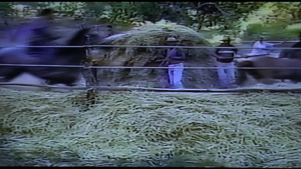 Hualqui, pasado, presente y futuro