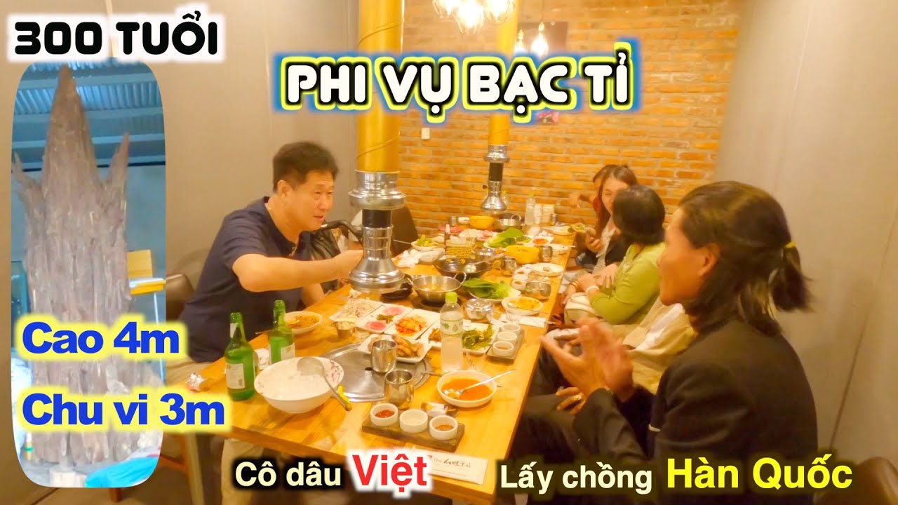 PHI VỤ TRẦM HƯƠNG 300 TUỔI BẠC TỈ | CHỦ XƯỞNG TRẦM LẦN ĐẦU ĂN MÓN HÀN QUỐC | JANG FAMILY TV #164
