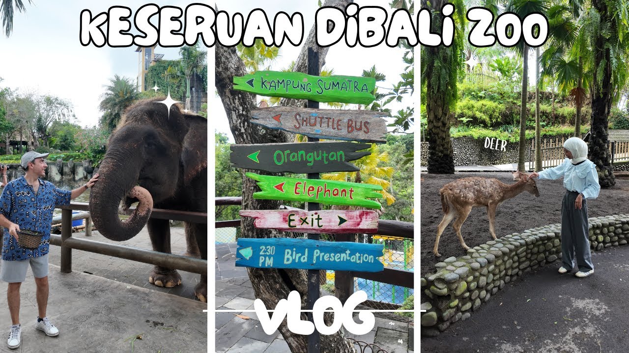 ADA HEWAN APA AJA DIBALI ZOO !! ALHAMDULILLAH KENAN HAPPY