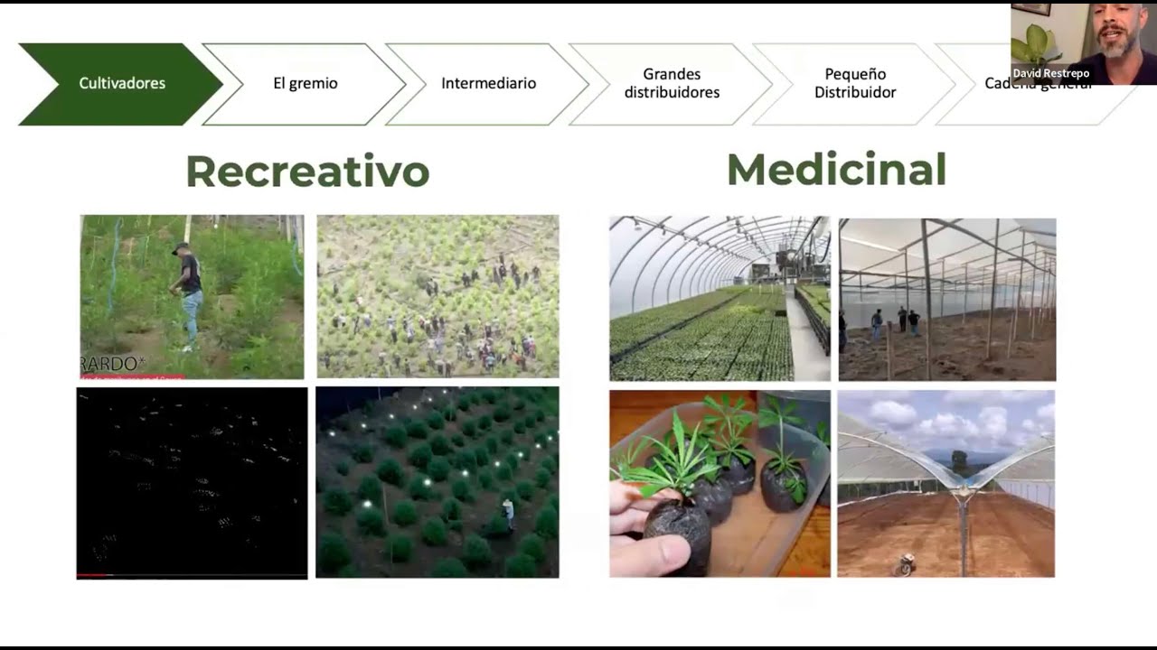 International Panel: Cannabis Cultivation Across the Americas