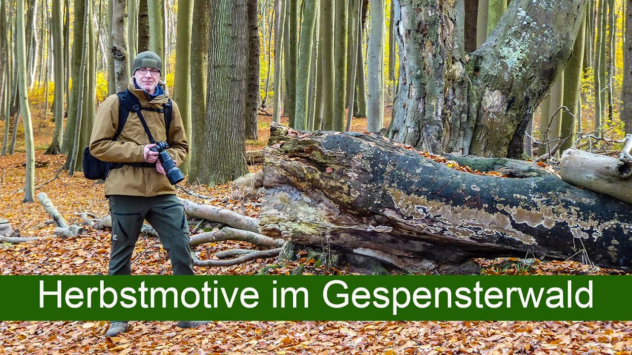 Abenteuer Naturfotografie - Herbstmotive im Gespensterwald