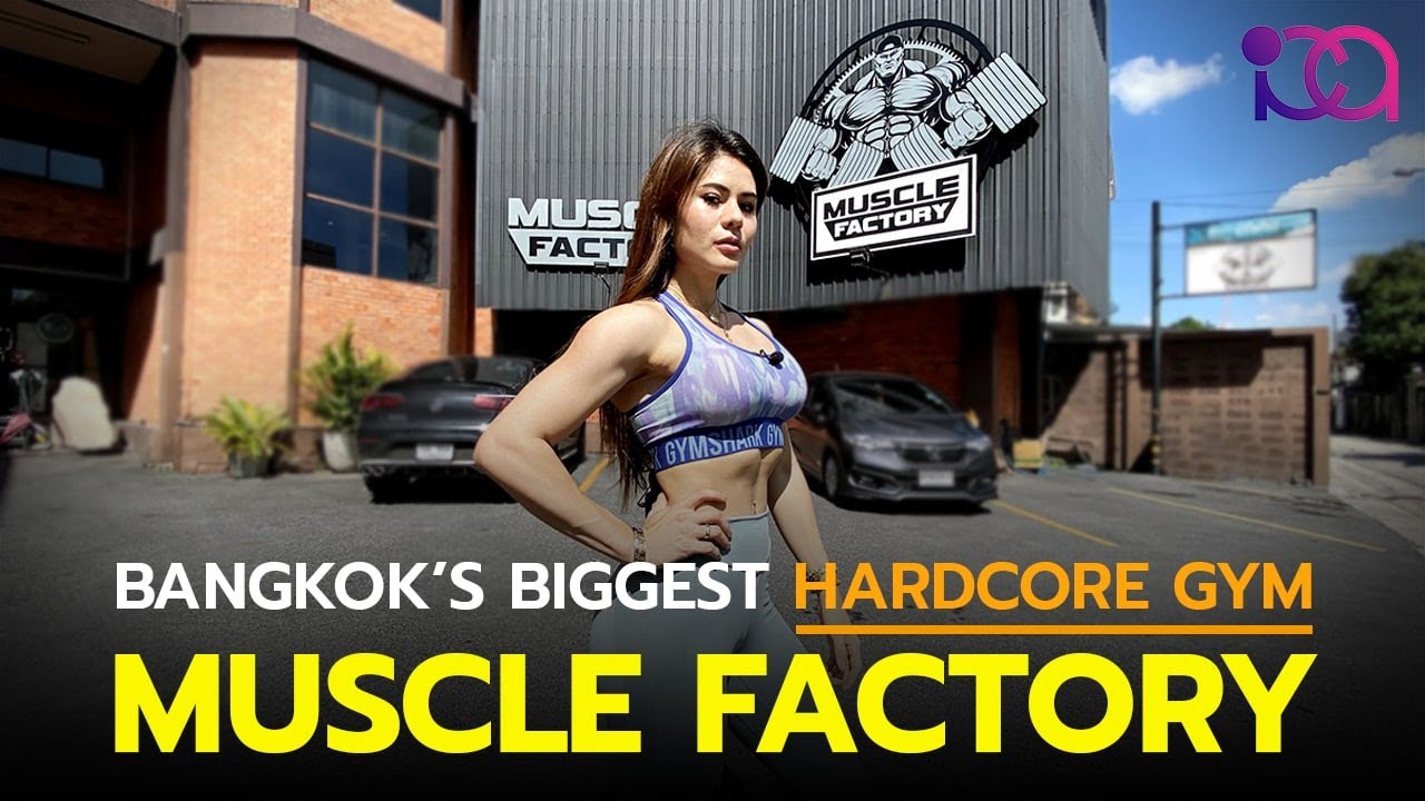 Muscle Factory มัสเซิล แฟคทอรี่  [Largest Hardcore GYM in Thailand]