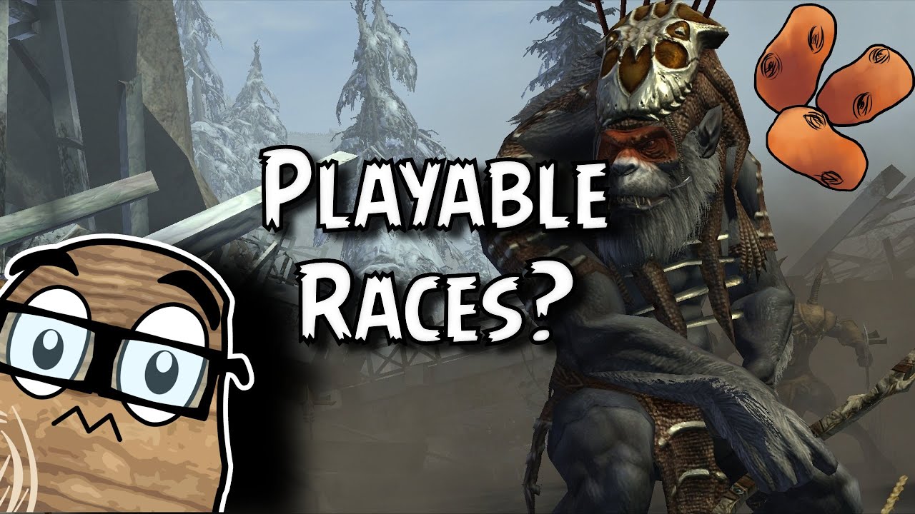Guild Wars 2 Playable Races - The Best and Worst