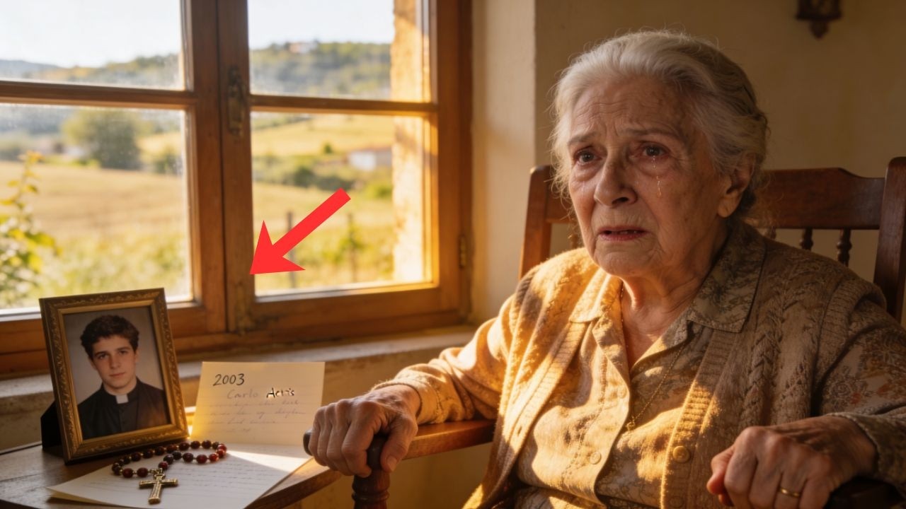 Ho 84 anni… e non voglio morire senza raccontare quello che Carlo Acutis fece davanti a me nel 2003