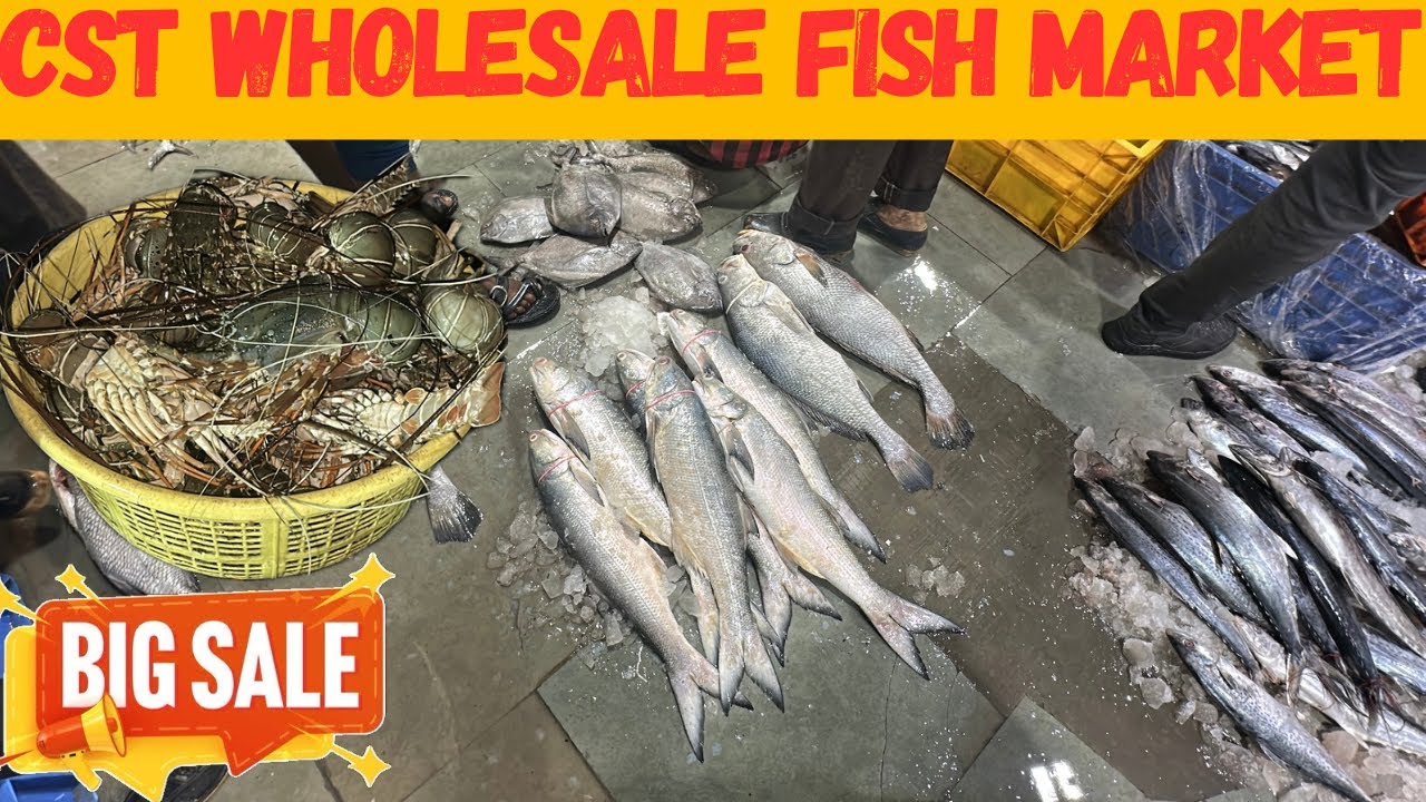 Crawford Market Fish Market | Cheapest Fish Market in Mumbai | Fish Market Wholesale Mumbai