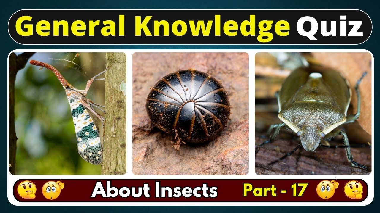 Can You Pass This Insect Quiz? 🐝 (Part 17) | 10 GK Questions That Will Sting Your Brain