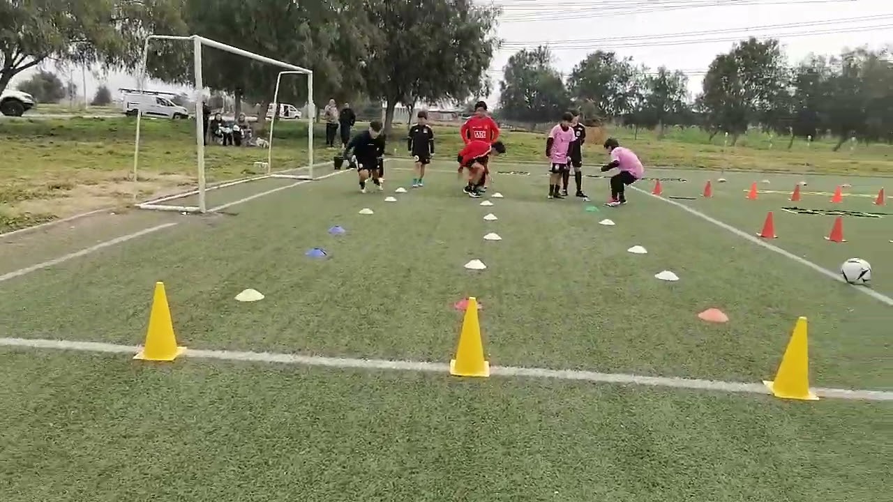 Preparador físico profesional agreditado inaf Chile Manuel Morales trabajos de alto rendimiento