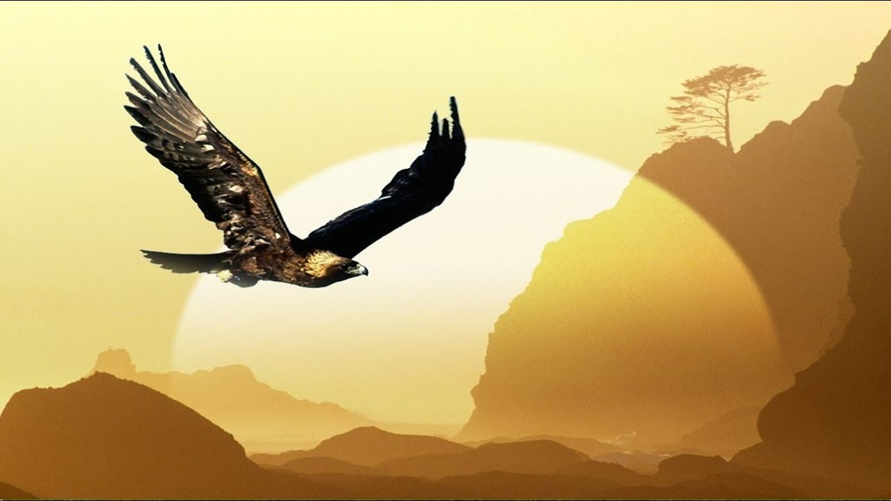 Como Las Aguilas .
