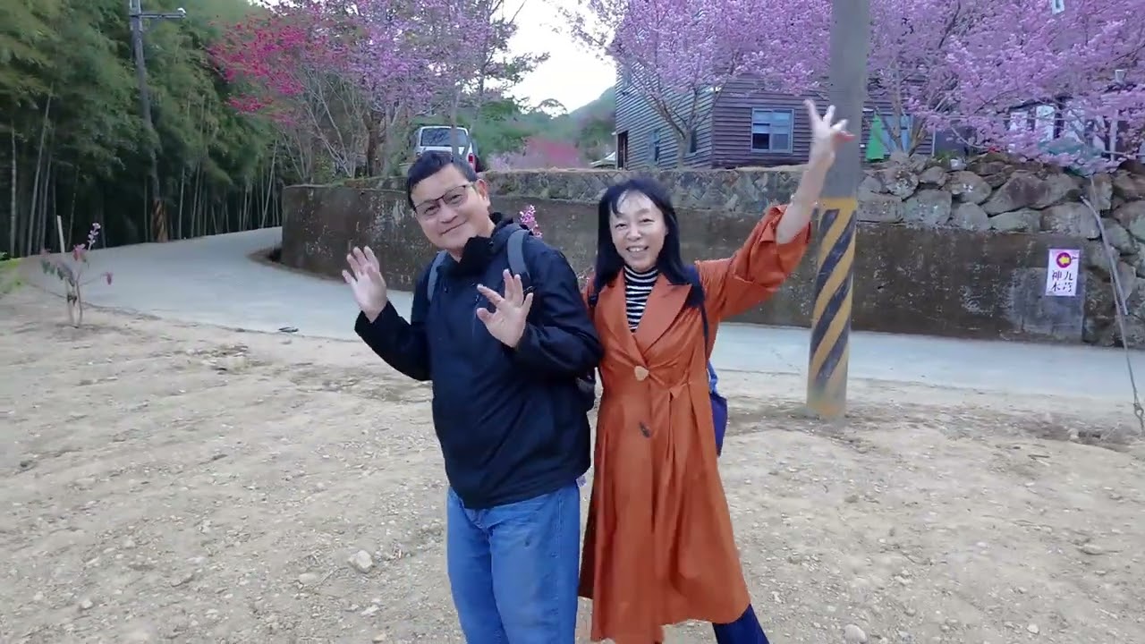 [Dudu&Pig]20260222 23石壁賞櫻