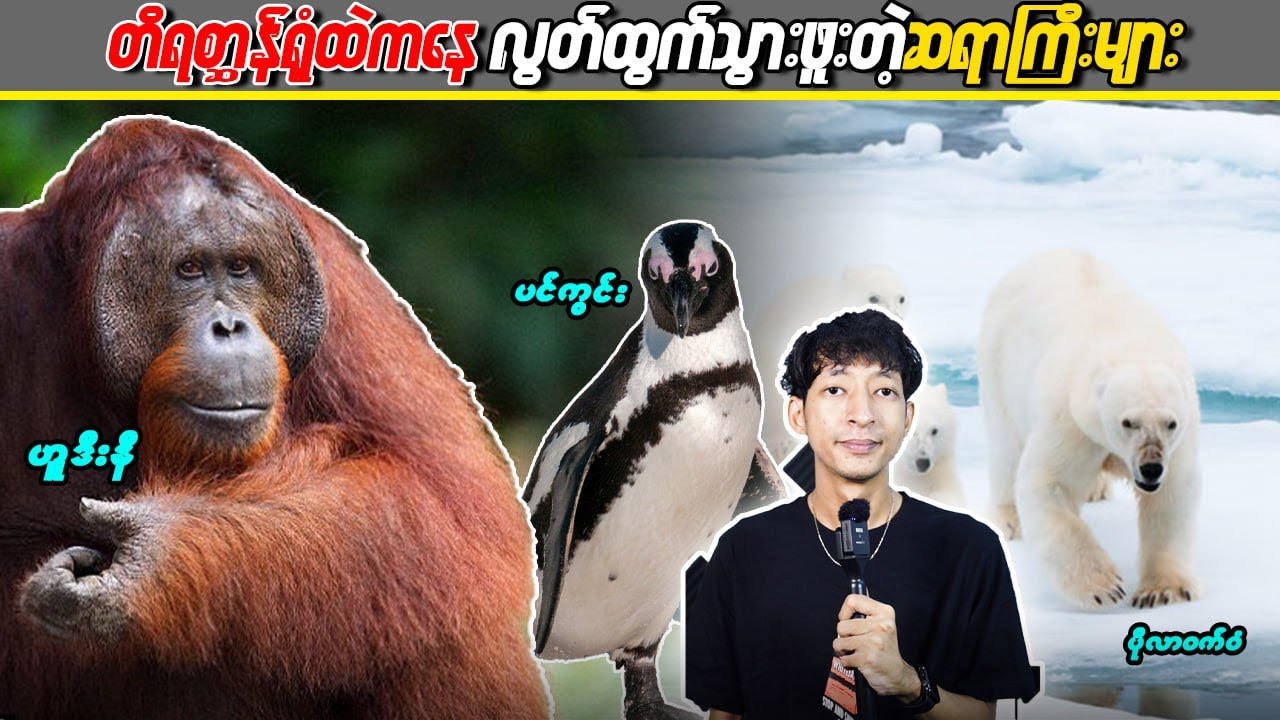 တိရစ္ဆာန်ရုံထဲကနေ လွတ်ထွက်သွားဖူးတဲ့ဆရာကြီးများ