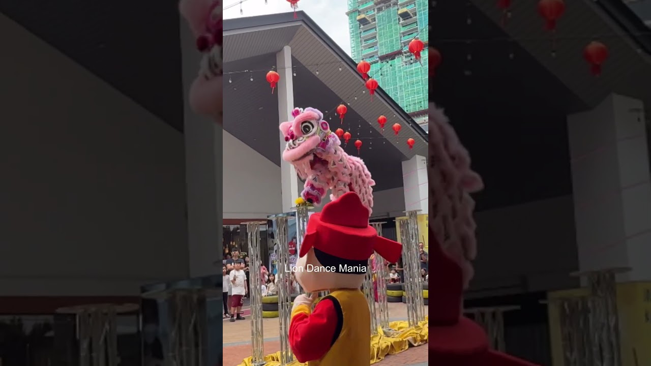 Acrobatic Lion Dance by Yi Ngai at Quayside Mall #acrobaticliondance