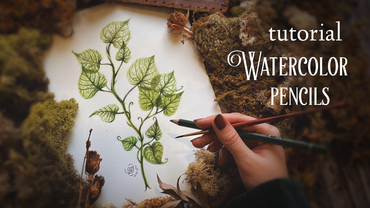 Easy Watercolor Pencils Painting | Botanical Illustration | Step by step tutorial | Draw with me
